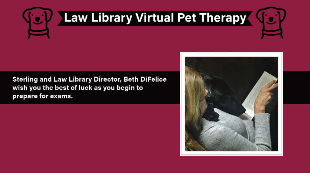 Law Library Virtual Pet Therapy Labrador Retriever Sterling Wishes You